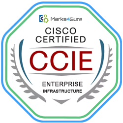 Cisco CCIE Enterprise Infrastructure v1.0 Lab