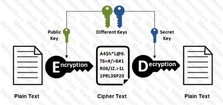 CBSA Question 40