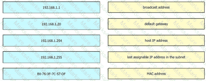 200-301 Question 338