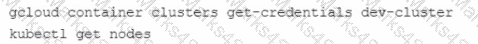 Associate-Cloud-Engineer Question 35 Option 1