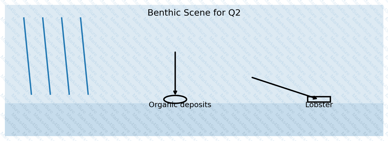 Introduction-to-Biology Question 9