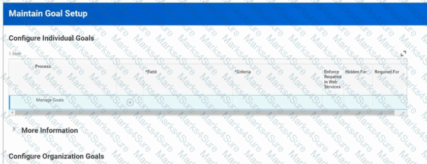 Workday-Pro-Talent-and-Performance Question 13
